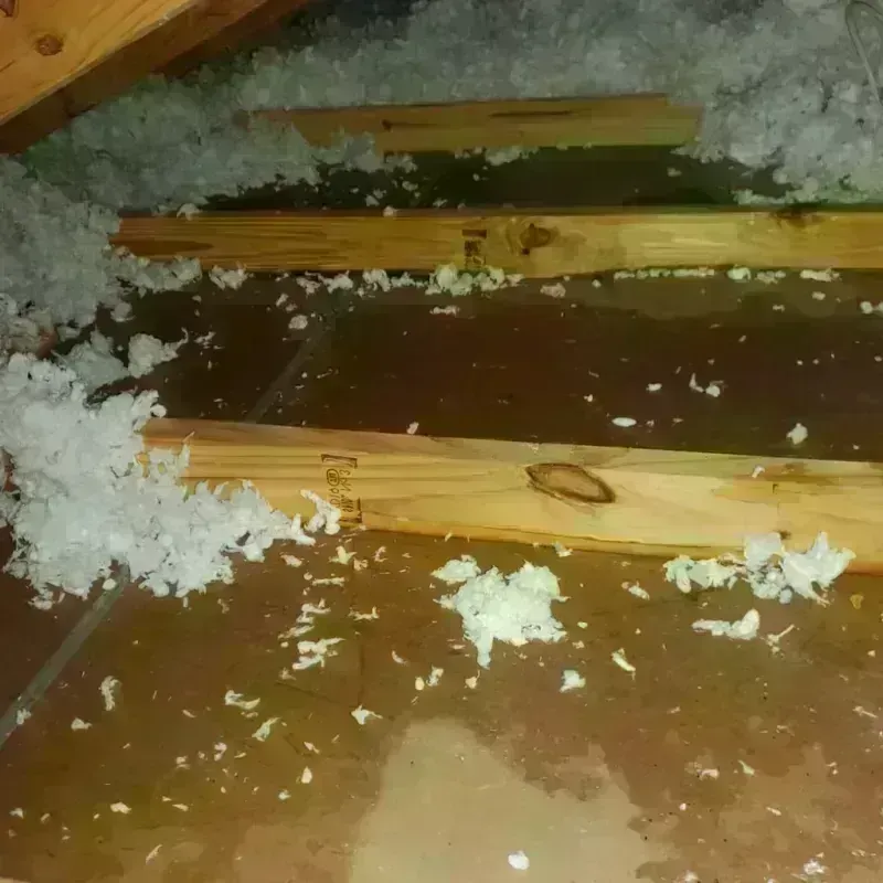 Attic Water Damage in El Dorado, KS