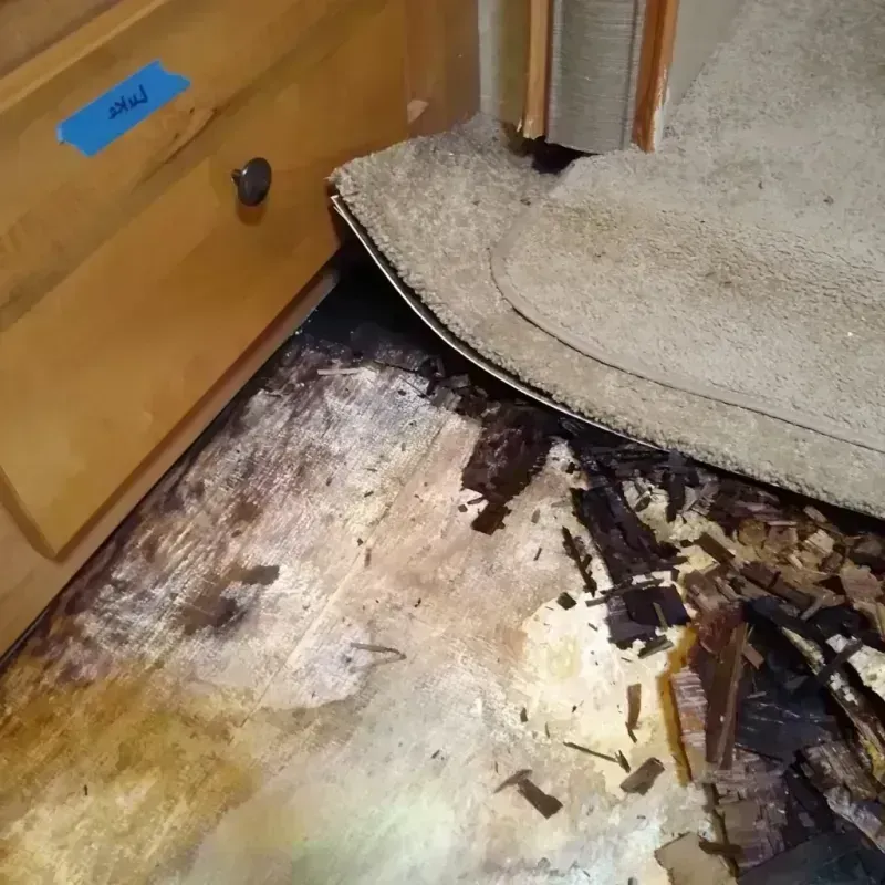 Wood Floor Water Damage in El Dorado, KS